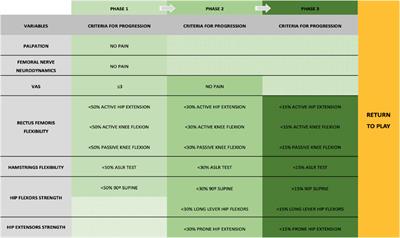 A criteria-based progressive rehabilitation program for rectus femoris strain in a recreational soccer player: a case report